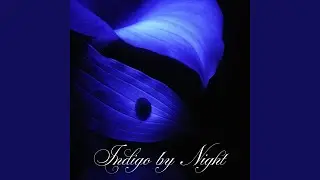 Interlude in Ink