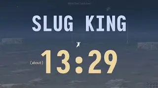 Rain World: Slug King WR in ~13:29