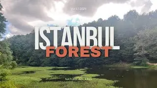 Istanbul Belgrade Forest & Lake , Nature Sounds