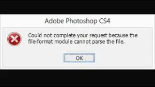 Photoshop | Could not compare your request because the file-format module cannot parse the file.