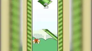 fLAPPTRIS (Promo-Video)