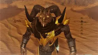 Neverwinter - CHILLLLLLLLLLING feel free to ask questions!