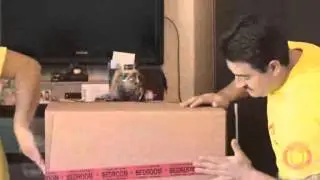 Long Distance Movers Oak Park  12 Years Experienced Movers