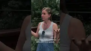 What does a Sustainability Consultant Do? Watch to find out!