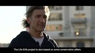 Life Elife video finale-risultati