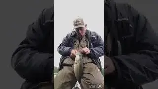 Big bass hunter 😍