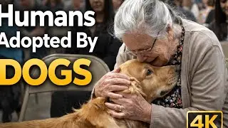 These People Adopted By Their Dogs  Complete Session
