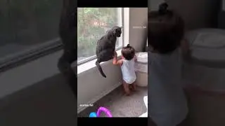 Offbeat Funny Videos