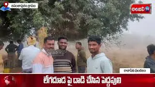 లేగదూడ పై పులి దాడి#breakingnews #yadadrinews #yadadri #yadagirigutta #viralvideo #newsupdate #news