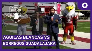 FBA Liga Mayor 2024 - Águilas Blancas vs Borregos Guadalajara (09/11/2024)
