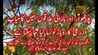 Most Profitable Agricultural Business Ideas - Agri Business - Earn Money - Pothwar/Barani Areas