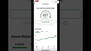 850+ credit score goal!!