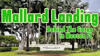 Luxury Family Living Mallard Landing In Weston FL Real Estate Neighborhood Tour