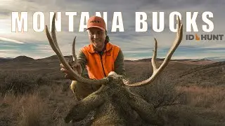 Montana Mule Deer Hunt | 4K | Public Land