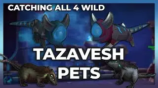 Catching all 4 Wild Battle Pets in Tazavesh | Pet Battles | Shadowlands