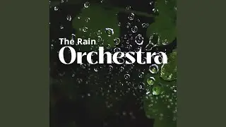 Rainyland