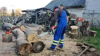 Stihles Mókus és az MS 881 : promóciós videó 😁💪👍.