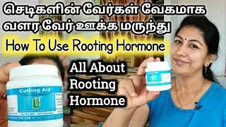 தமிழில் / Rooting Hormone in Tamil / How To use Rooting Hormone / Rooting Hormone For Plants