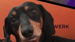 W Vapes: We Are W Vapes