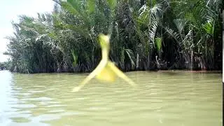 DSCF1393