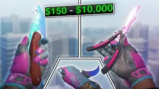 10 BEST VICE GLOVE KNIFE COMBOS IN CS2! (ANY BUDGET 2025)