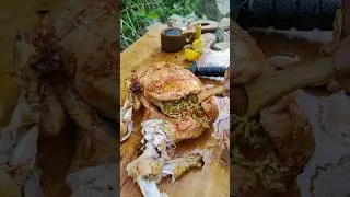 cooking whole chicken in foil