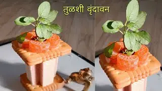 गौराई स्पेशल तुळशी वृंदावन । wedding rukhwat tulsi vrundavan | biscuit tulsi vrundavan