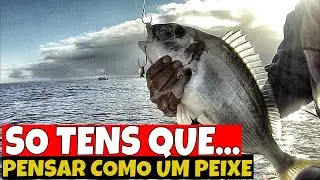 SE FOSSE FÁCIL TODA A GENTE FAZIA - PESCAR NA QUEDA🎣🐟/FISHING GILTHEAD BREAM/镀金头 / الرصاص الصيد