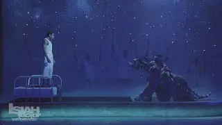 'Life of Pi' featured in this year's Houston Theater Week