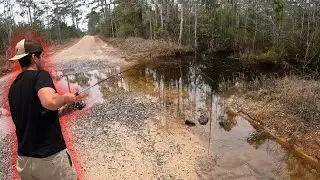 I Found A Flooded Road and Caught This!!