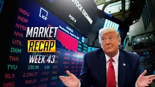 Stocks + Sectors To Buy (If Trump Wins)