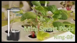 Mini smart indoor garden with 3 pods/Green desk accessories/Family Education Series-----Ring-03 CAM1