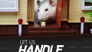 Rodent Control Services