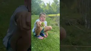 Why You Never Keep A Frog As A Pet! #shorts