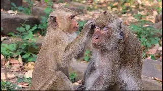 Good Job Rainbow has sweet heart with vanny monkey