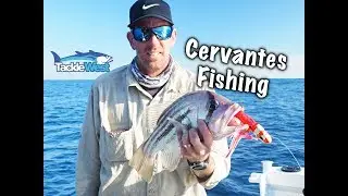 Cervantes Fishing - May 2019