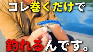 色んな物使いましたが、マジで釣れるので結局このワームを買ってしまいます。