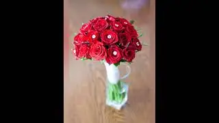 Rose photography