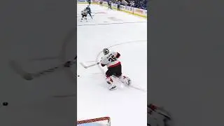 If you're a goaltender, TEND THE GOAL! #nhl #leafs #hockey #Senators