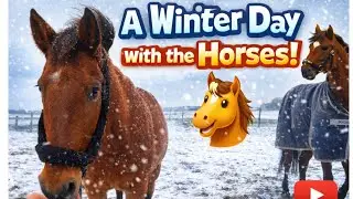 A Winter Day With Horses ❄️🐎 | Snow, Fun & Stable Life”