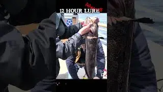 45th Short, Cod Fishing Edmonds Pier!