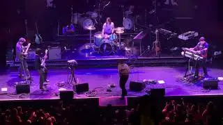 Dirtpicker - Post Animal Live at The Paramount Theatre in Seattle, Washington 4/8/2025