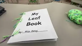 Kindergarten- Leaf Books