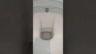 مشكله بتقابل ناس كتير ازاى تظبط اتجاه الشطاف الذاتى للتواليت الفيديو للجمهور