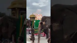 Tirumala Tirupati Ep-2 #tirupati #tirumala #ttd #venkateswara #balaji #varaha #temple #govinda 