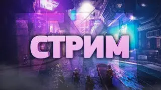 [WF Partner] ПРОДОЛЖАЕМ ХОМЯЧИТЬСЯ С КЛАНОМ