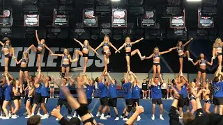 Cheer Athletics Cheetahs Majors Showoff 2019