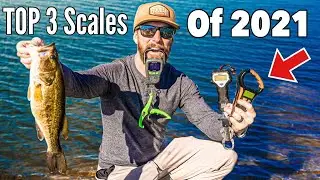 How To Weigh Fish & Hold A Bass Properly (fishing tutorial) Best Scales of 2021