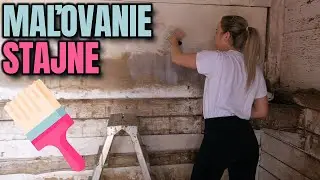 Maľovanie stajne🖌 lov pstruhov v potoku 🎣| jazdenie - j&iacute;zda na koni | videa o koňoch - kon&iacute;ch