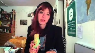 Ovid Amores 2,6 - Corinna's dead parrot (Psittace, Eois..) Elegiac Distich - SUBTITLED